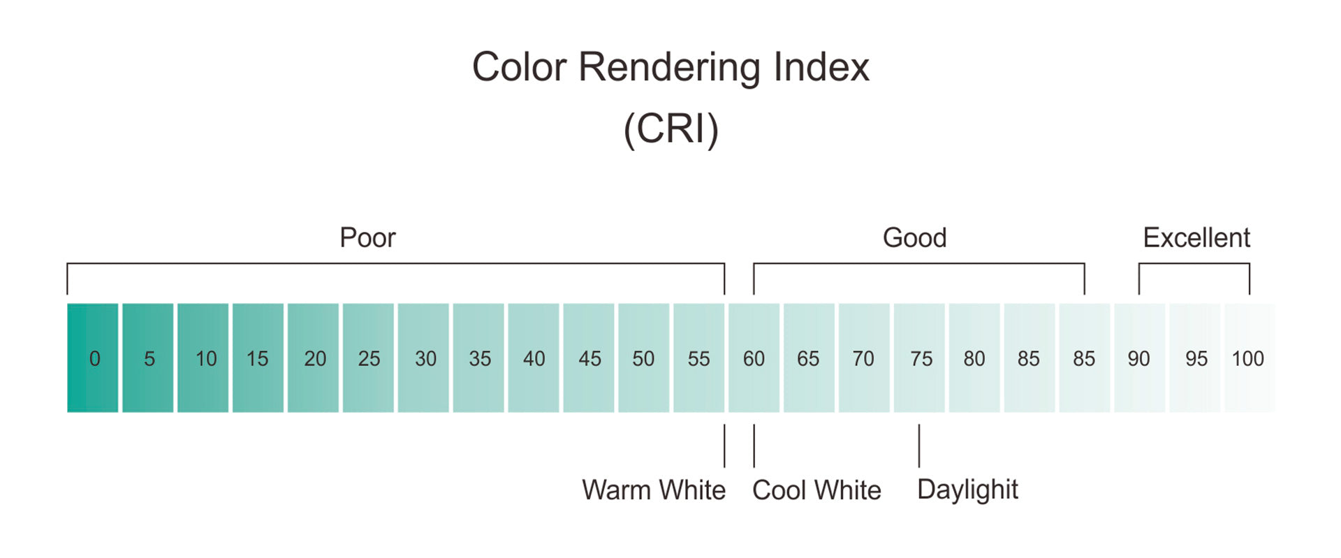 Why CRI 90+ Lighting Matters ?